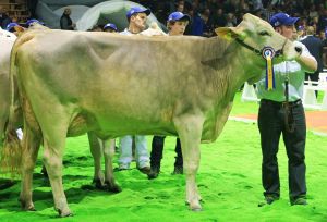 Bruna12 029